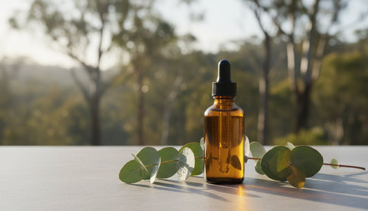 Eucalyptus Essential Oil: A Guide to Australia's Aromatic Icon