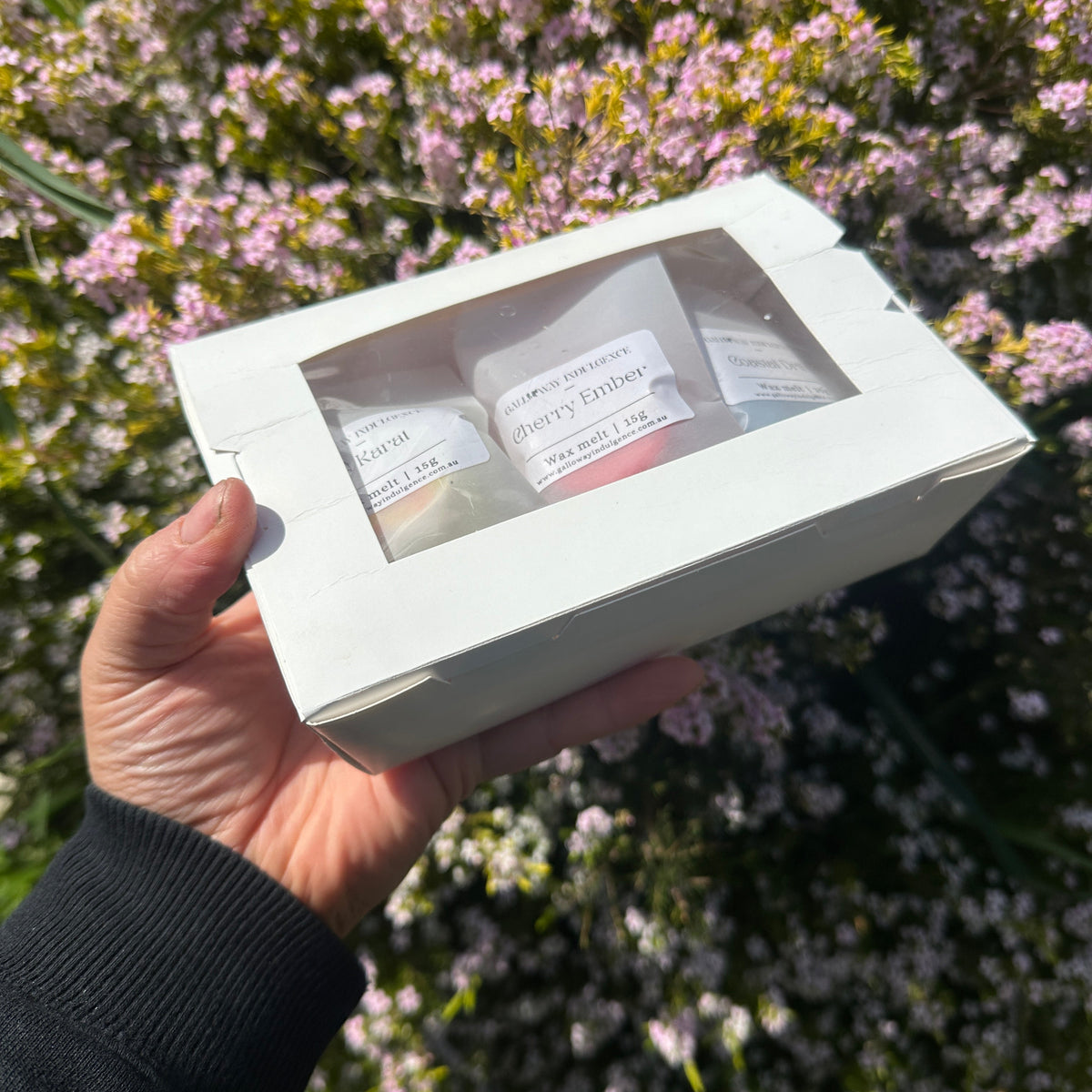 Wanderlust Coastal Getaway x Clean Slate Wax Melt Sample Pack