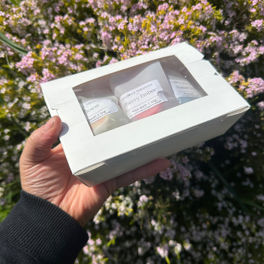 Wanderlust Coastal Getaway x Clean Slate Wax Melt Sample Pack