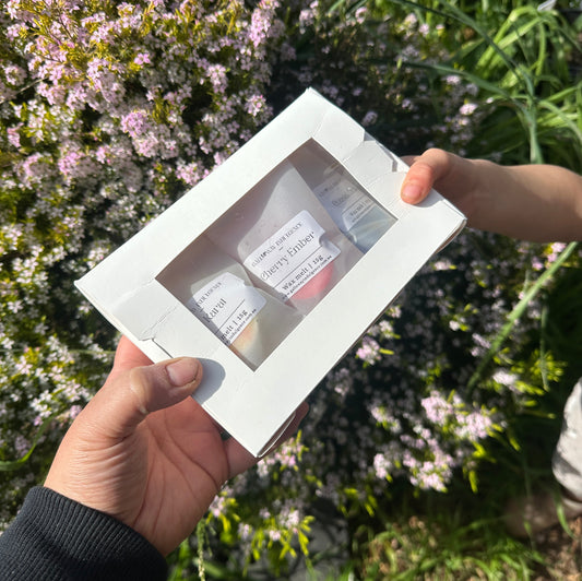 Wanderlust After Dark x Sweet Escape Wax Melt Sample Pack
